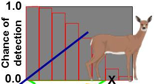 Plot illustrating detection function