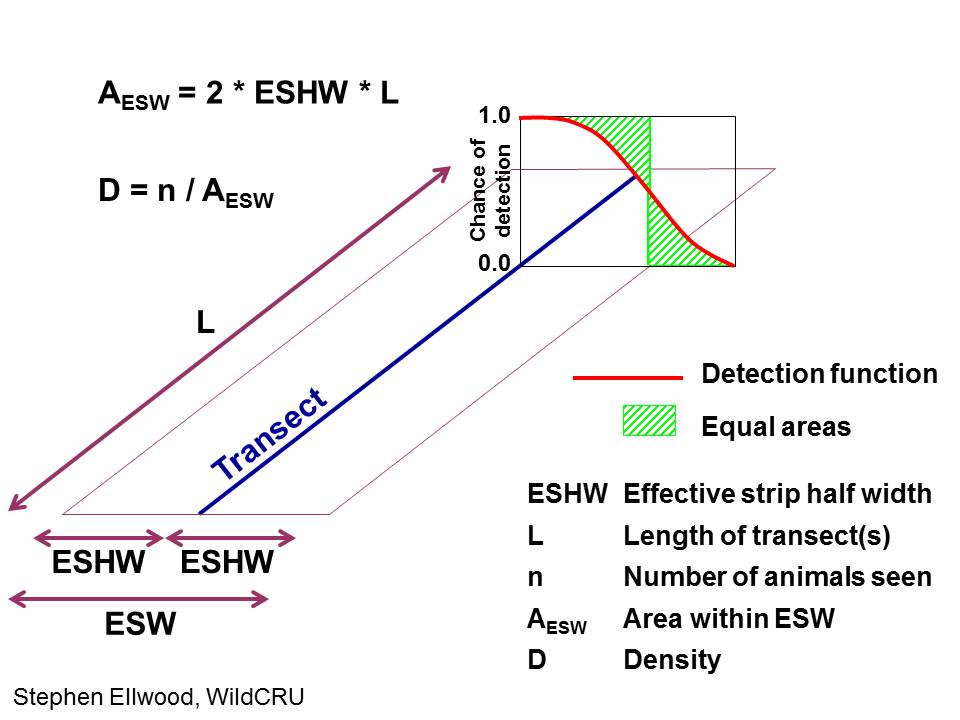 Plot illustrating effective strip width