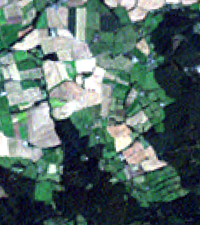 Remotely-sensed imagery of the Wyre forest in England